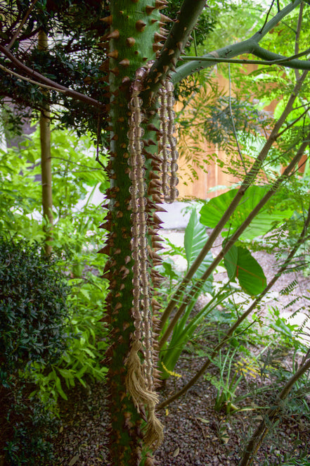 Guirnaldas Decorativas