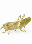 Figura Decorativa de Resina Saltamontes