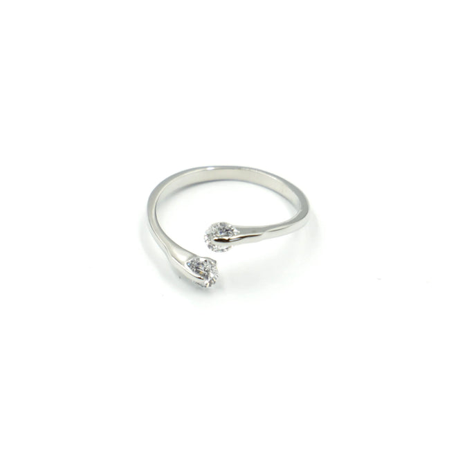 Anillo Lago
