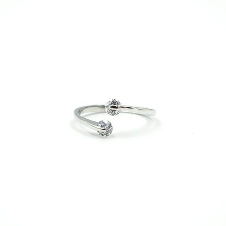 Anillo Lago