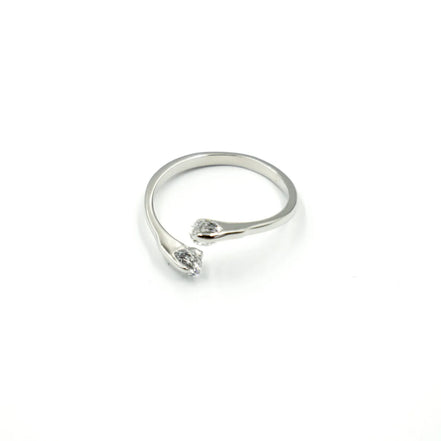 Anillo Lago