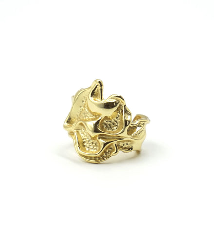 Anillo magma