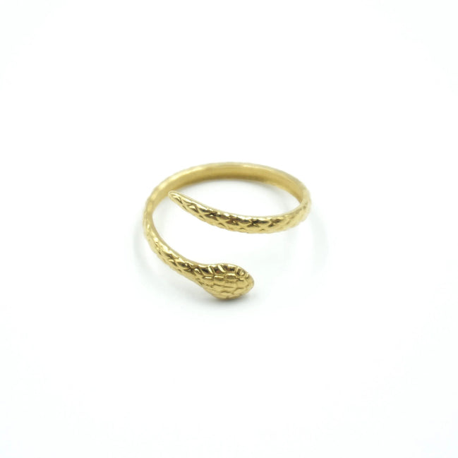 Anillo serpiente