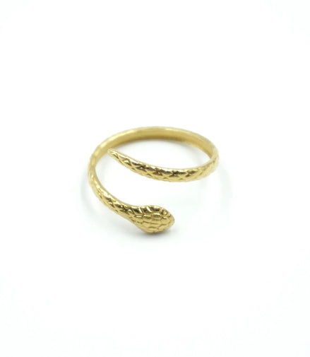 Anillo serpiente
