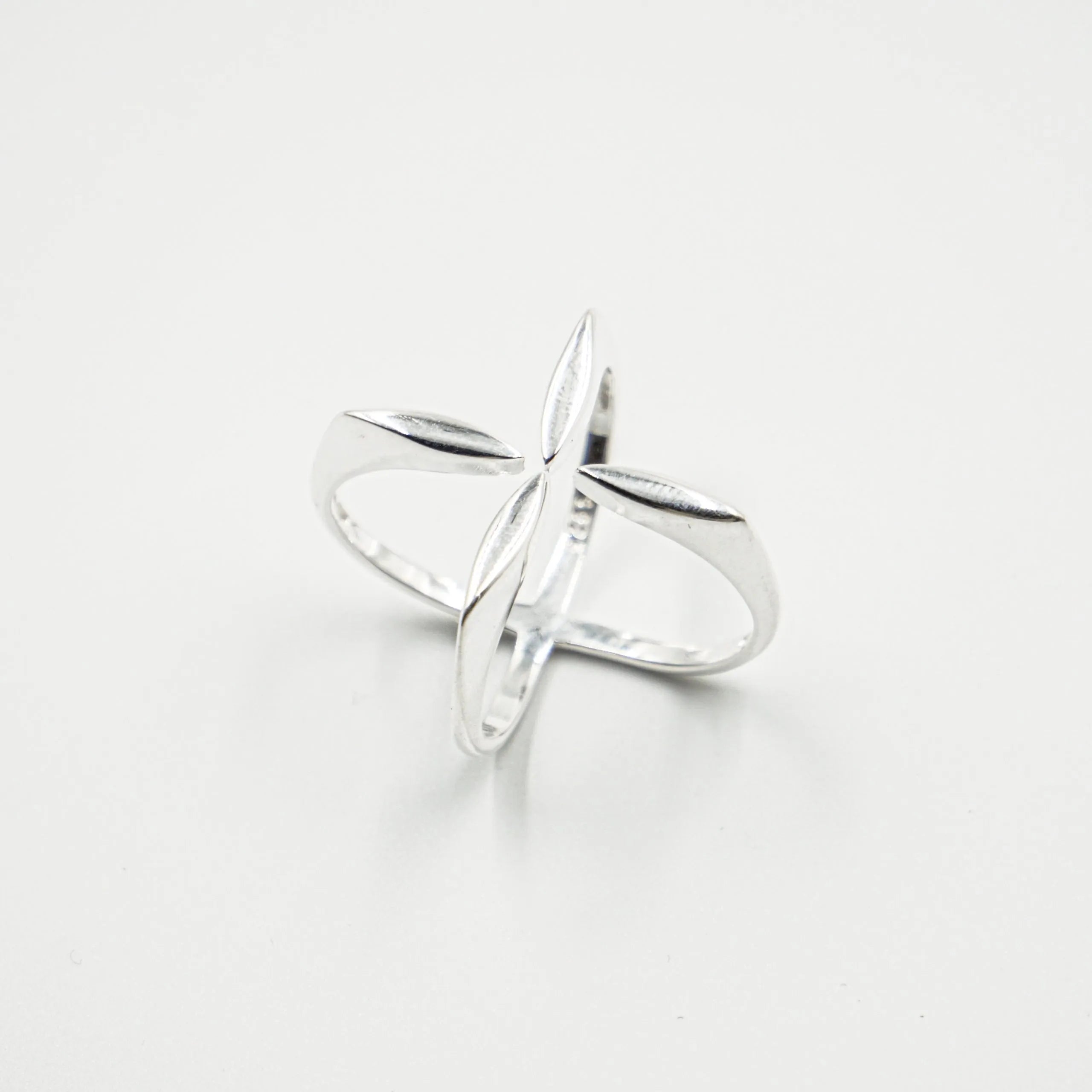 Anillo cruz