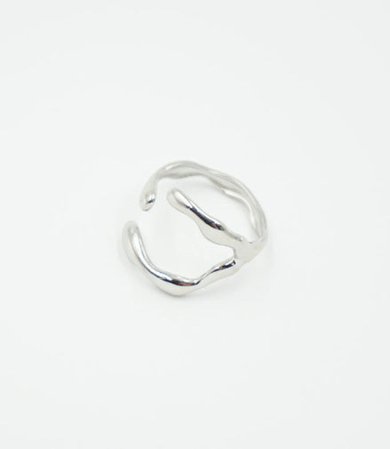 Anillo Garra plata
