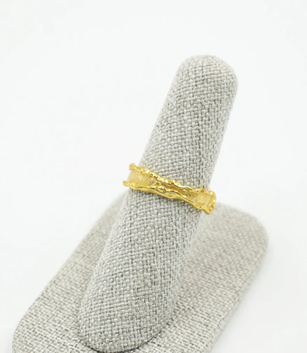 anillo volcan