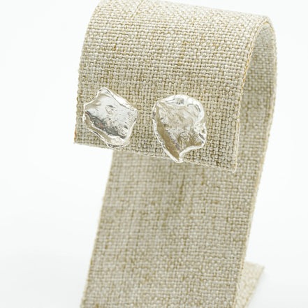 Aretes fosil