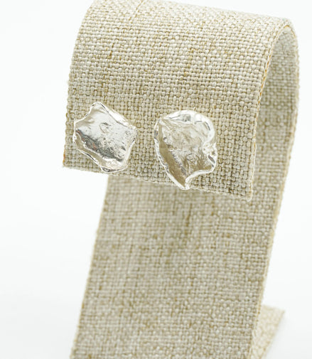 Aretes fosil
