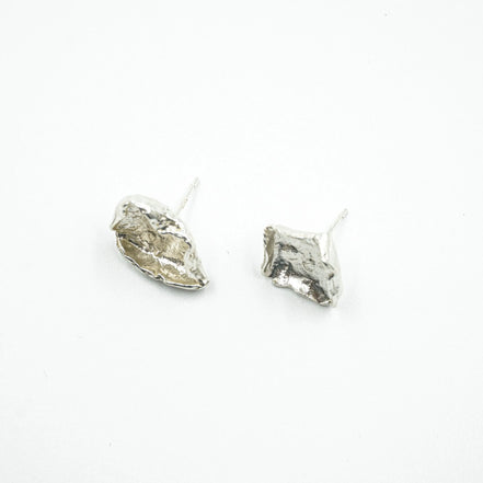 Aretes fosil