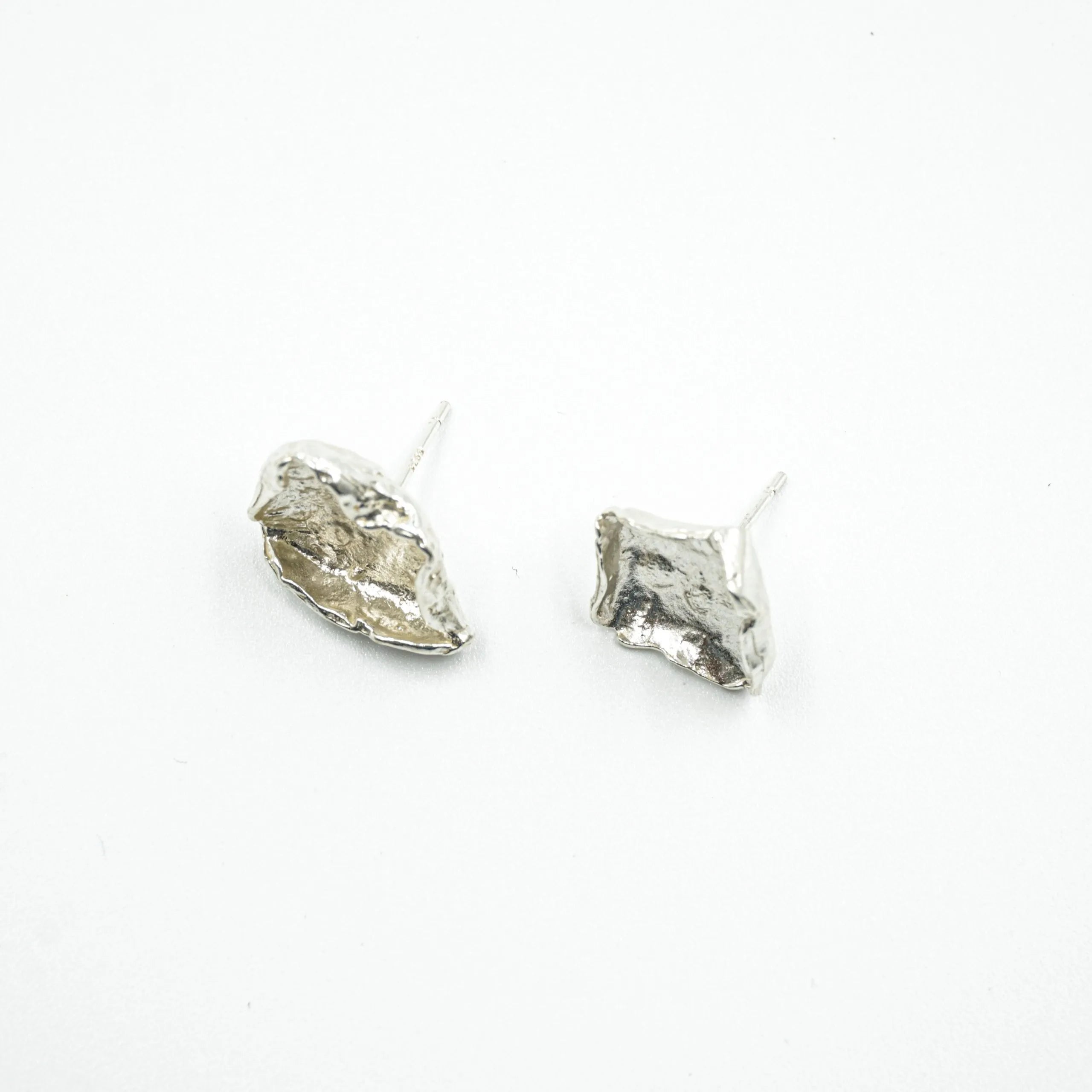 Aretes fosil