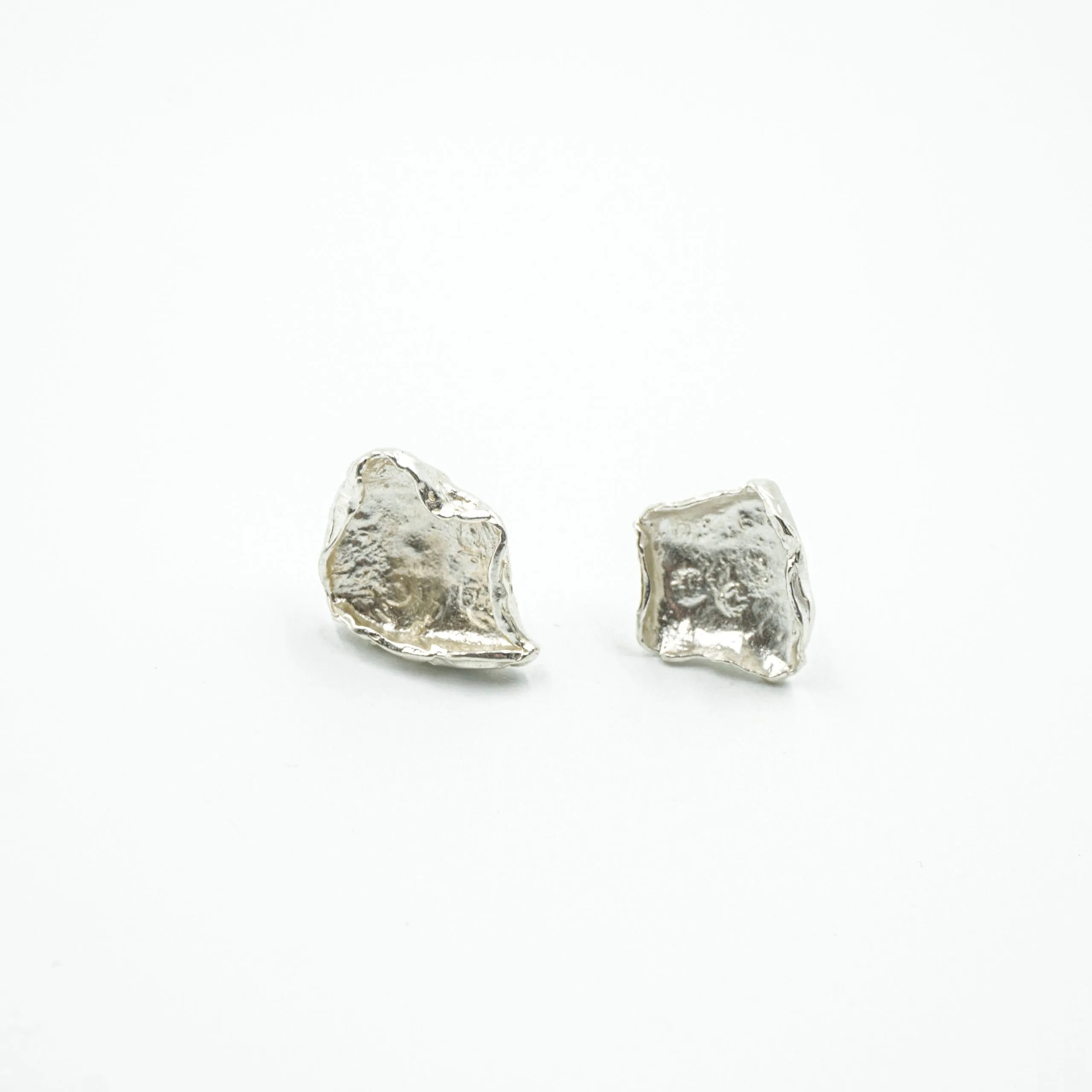 Aretes fosil