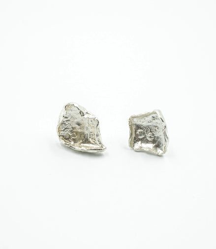 Aretes fosil
