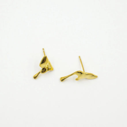 Aretes lava