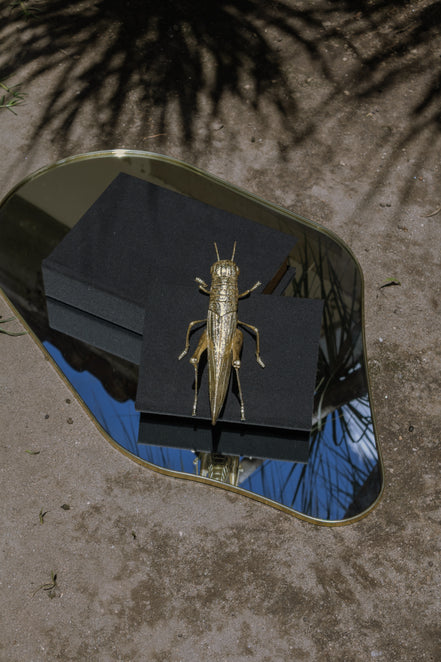 Figura Decorativa de Resina Saltamontes