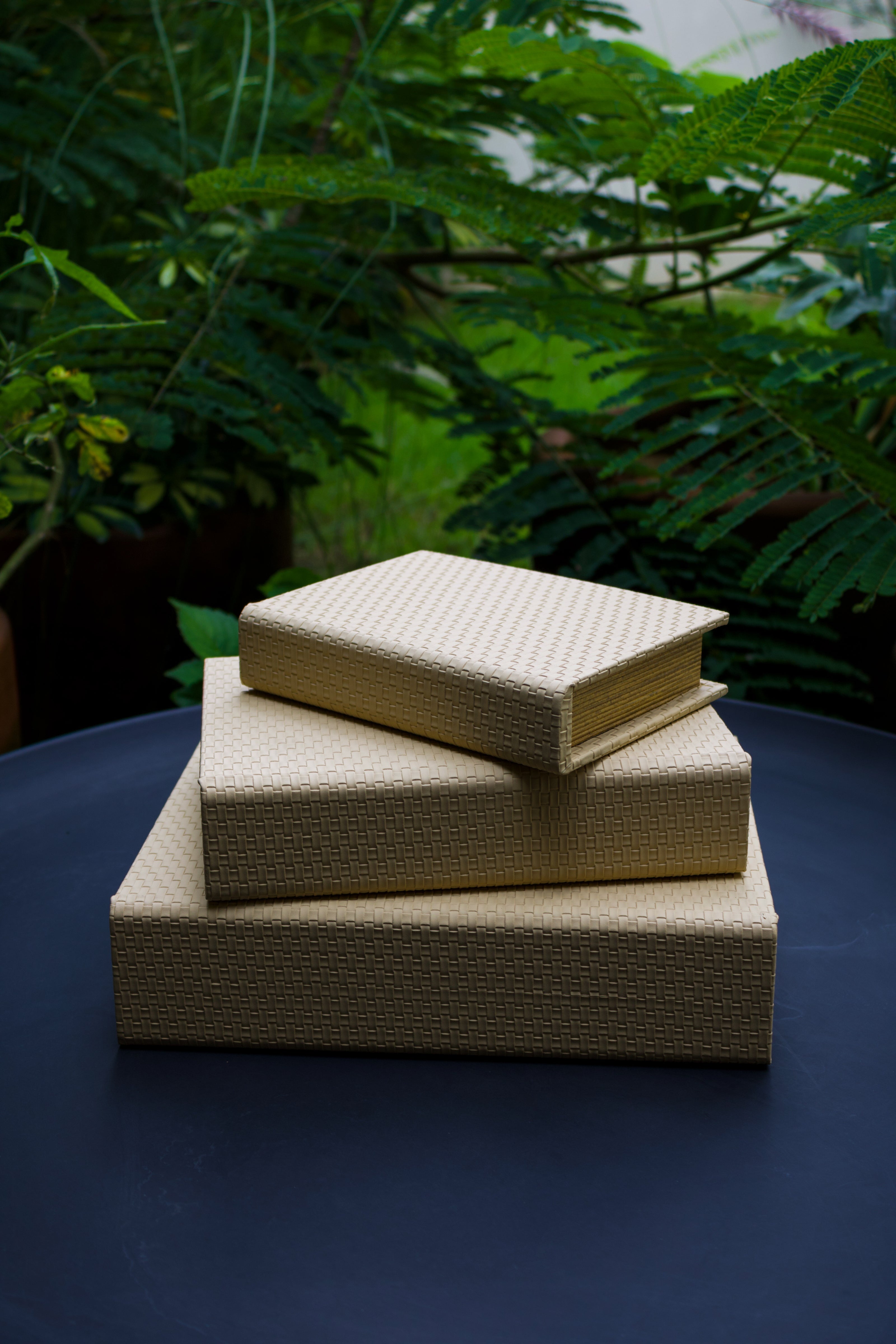 Caja de Libros Imitación Cuero Beige