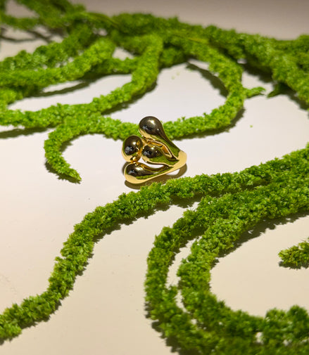 Anillo burbuja