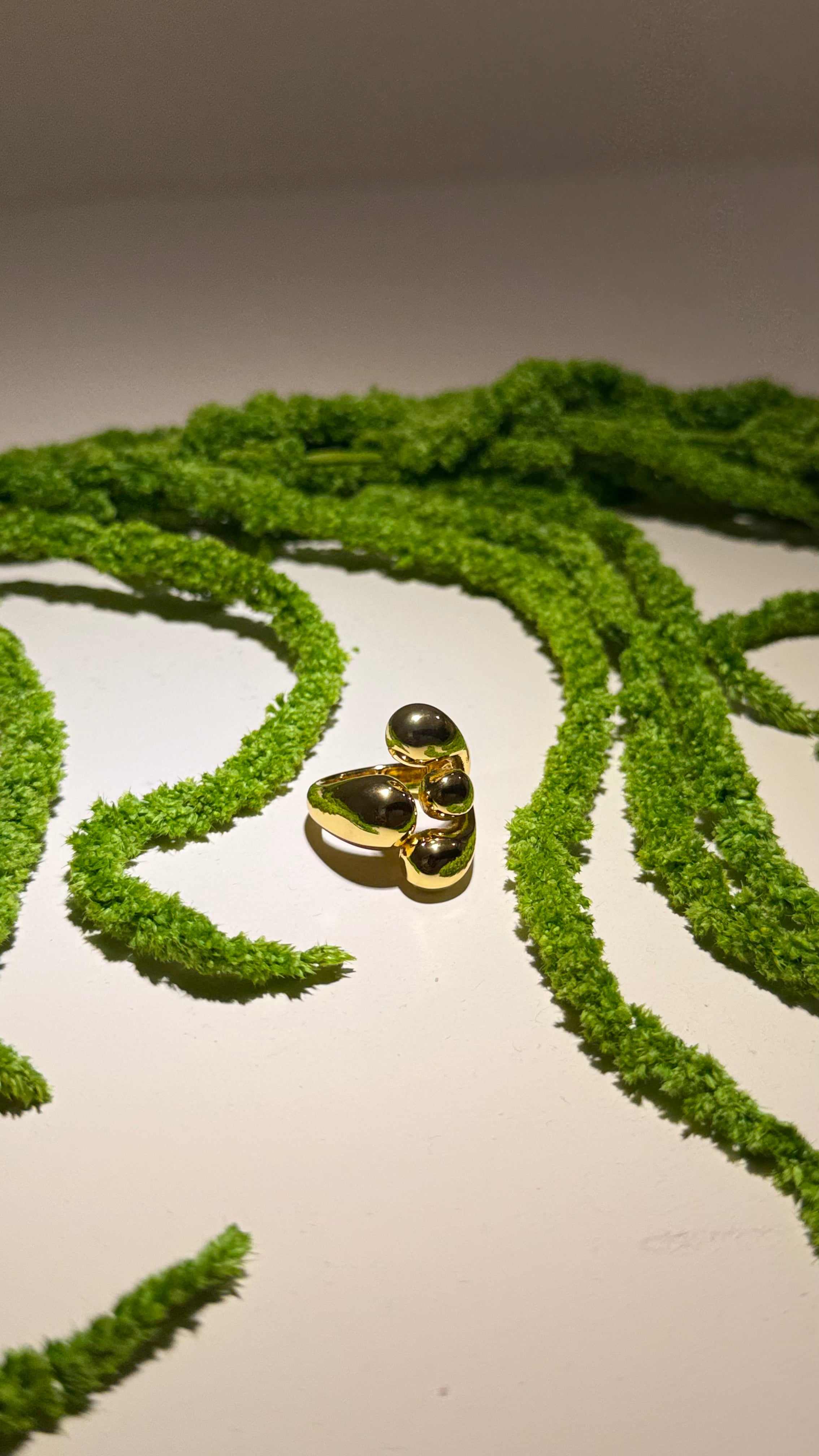 Anillo burbuja