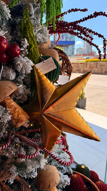 Estrella Shine