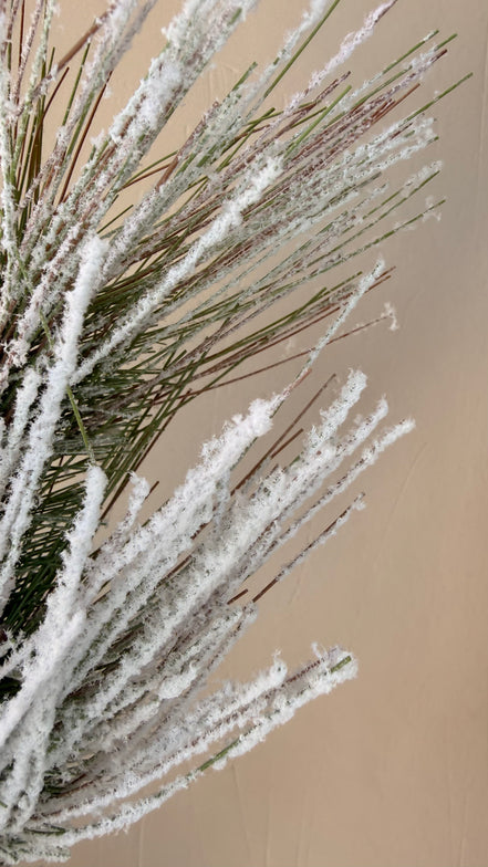 Vara de Pino Premium para Árbol y Centros