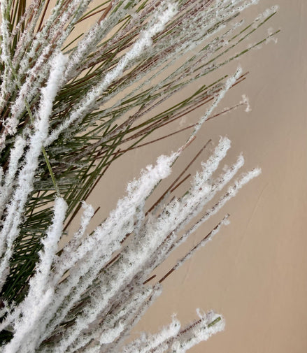 Vara de Pino Premium para Árbol y Centros