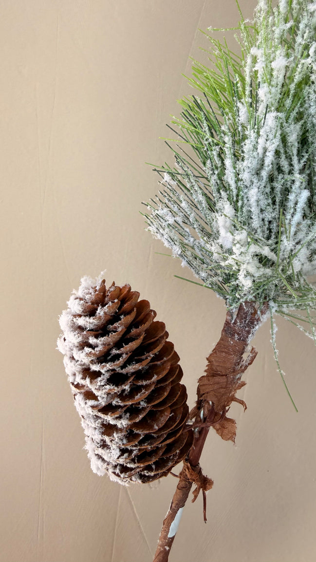 Vara de Pino Premium para Árbol y Centros