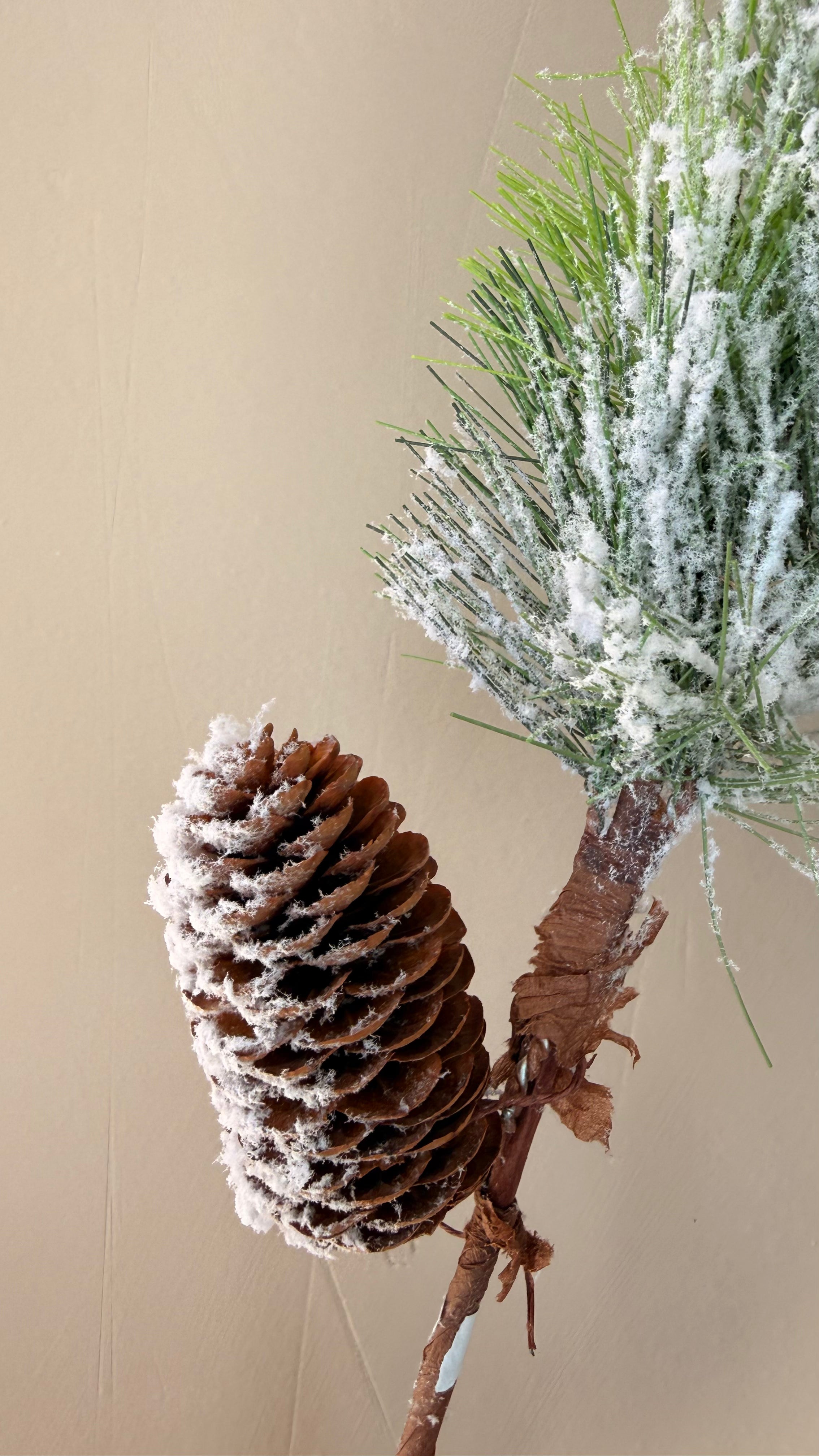 Vara de Pino Premium para Árbol y Centros