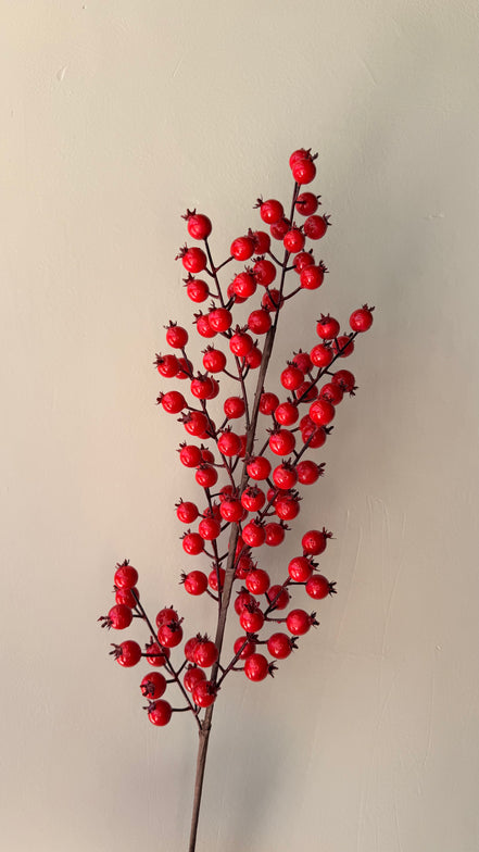 Vara Berry Roja Alta