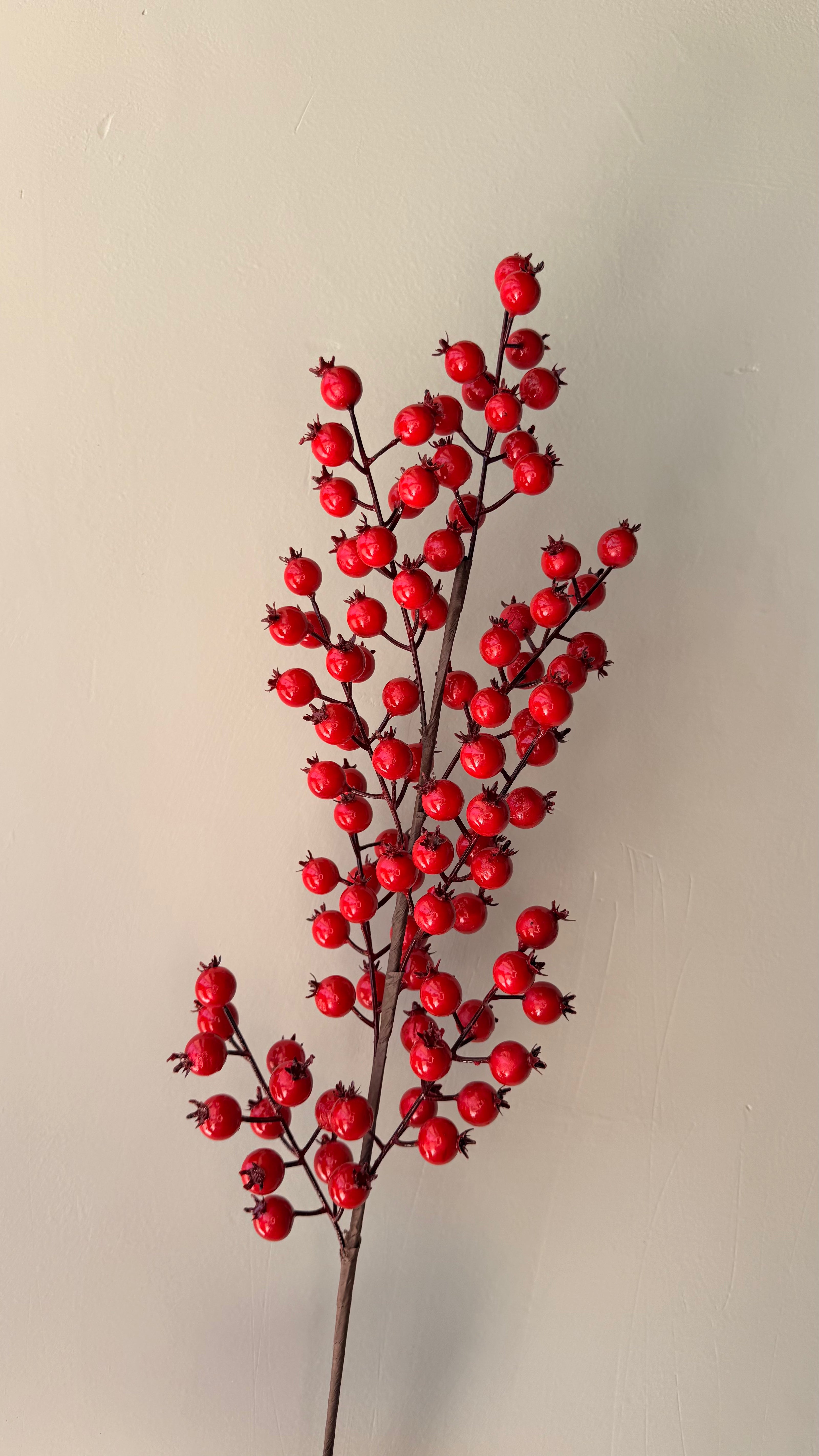 Vara Berry Roja Alta