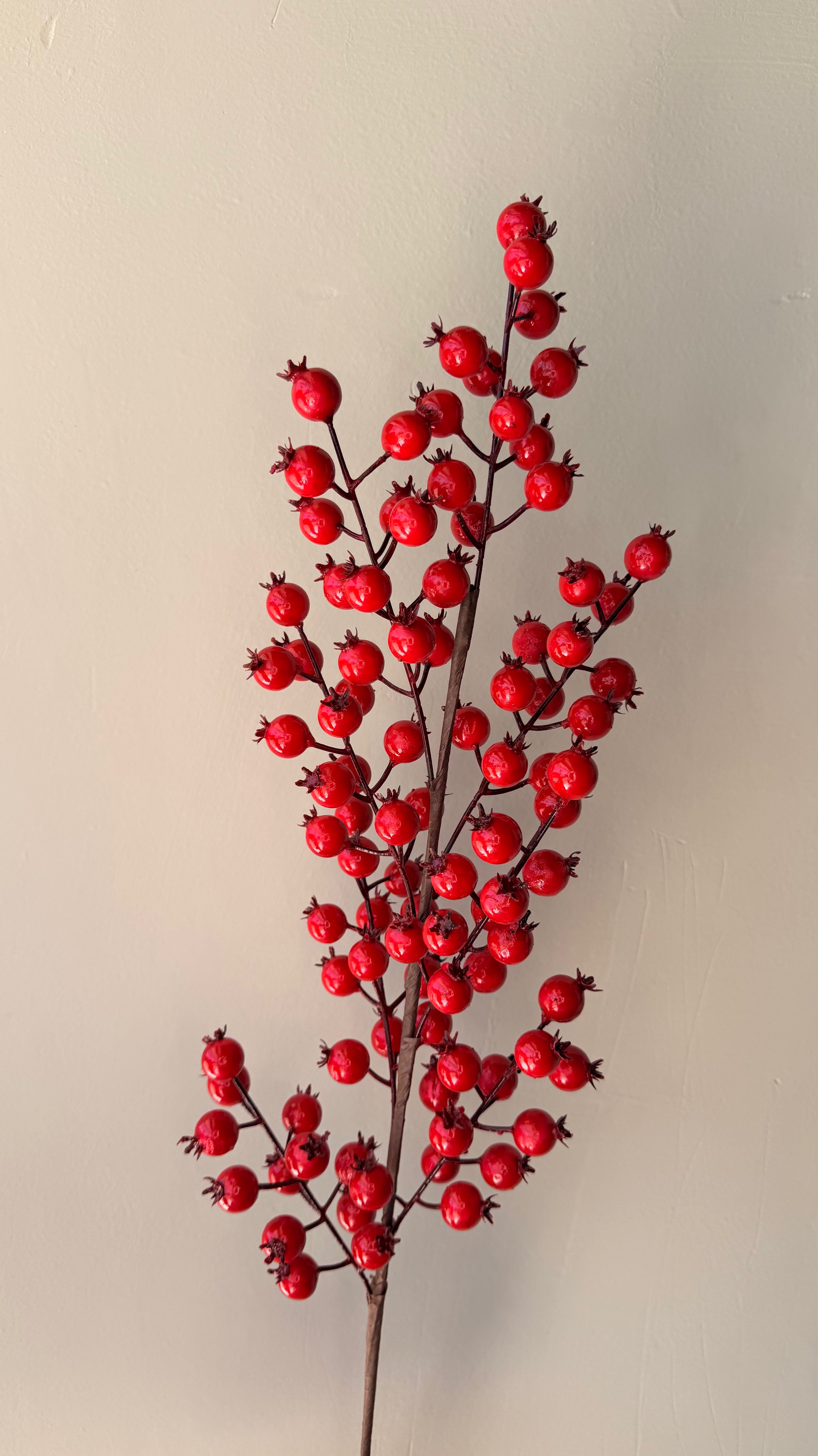 Vara Berry Roja Alta