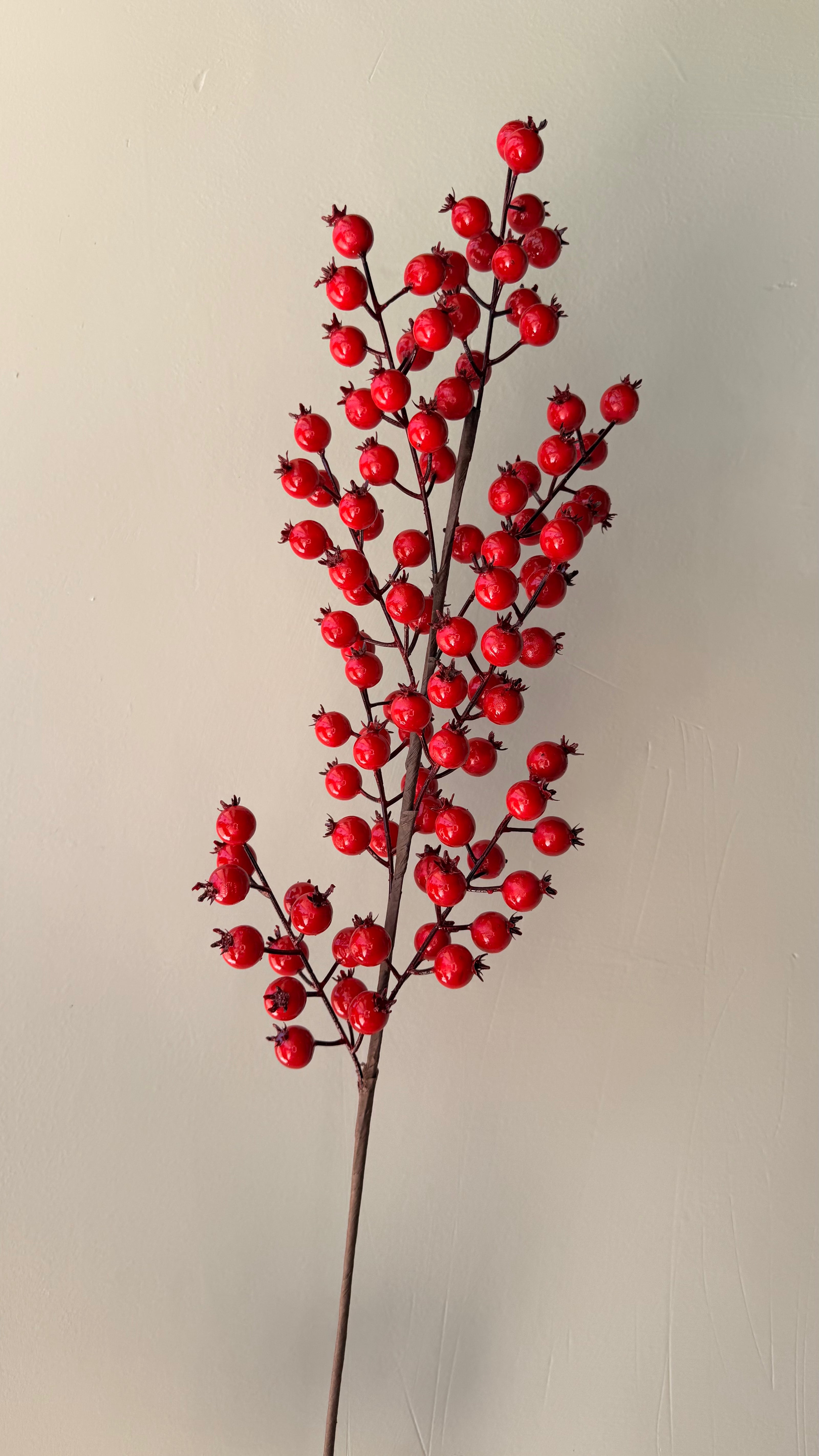 Vara Berry Roja Alta