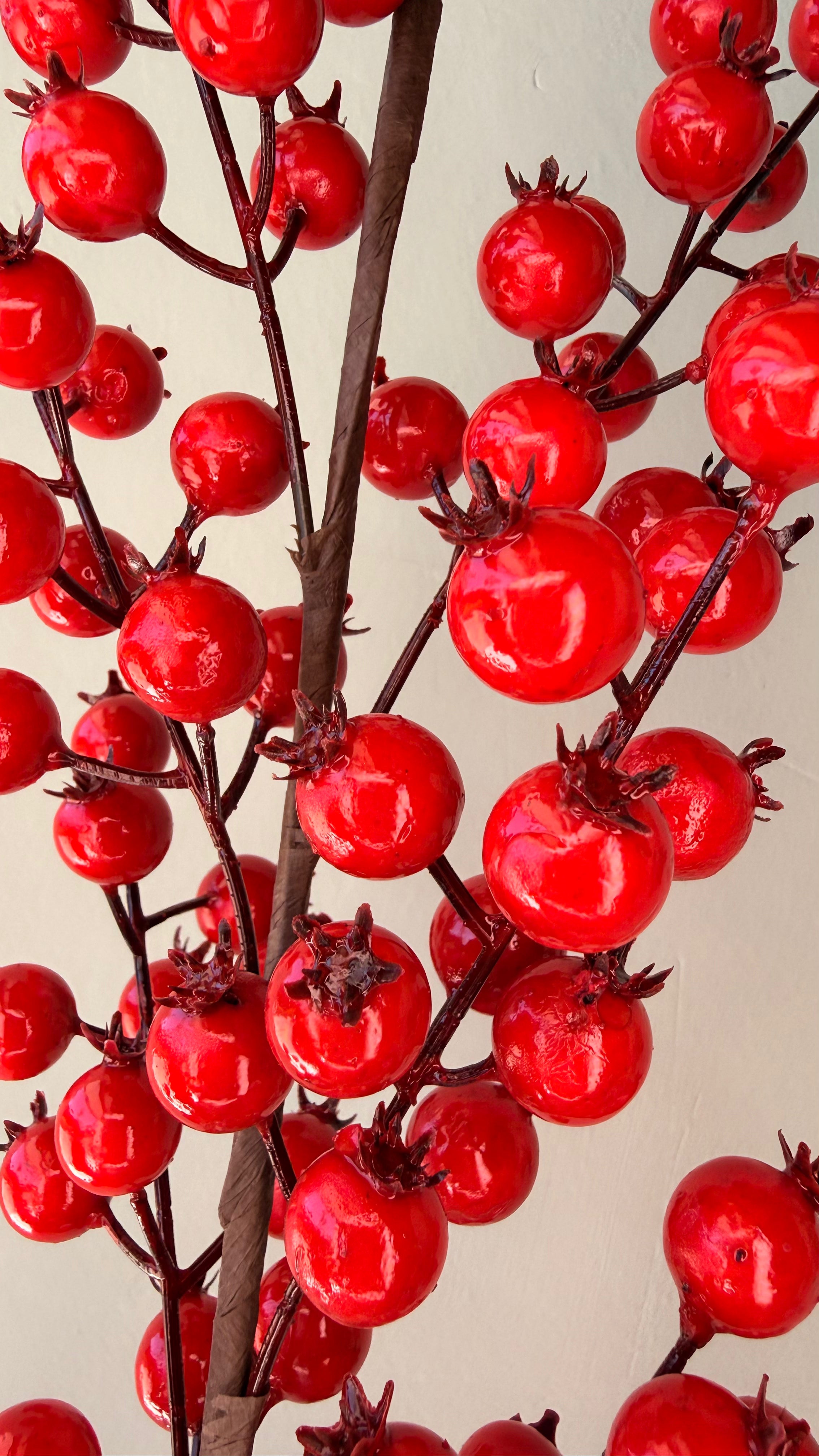 Vara Berry Roja Alta