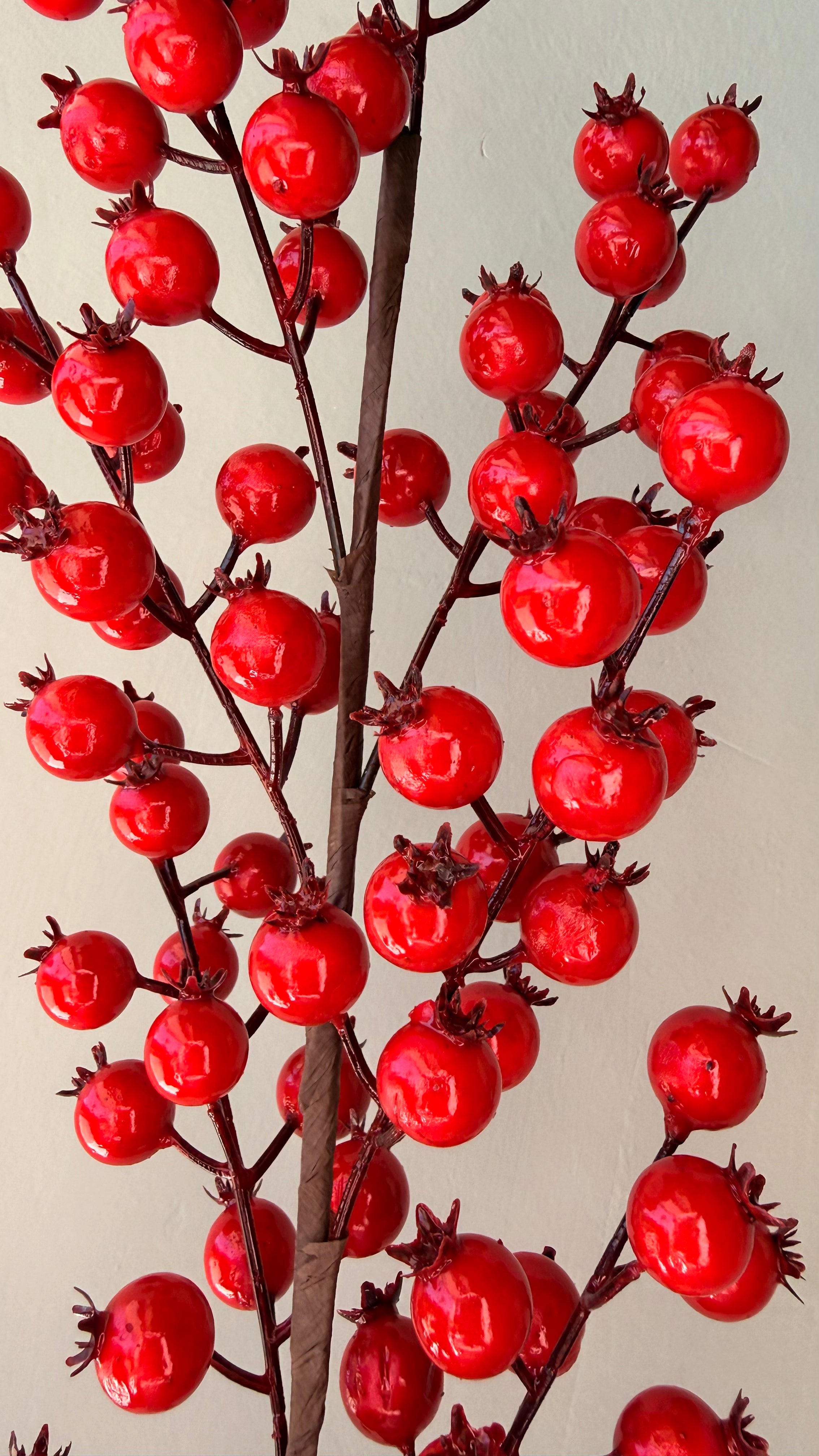 Vara Berry Roja Alta