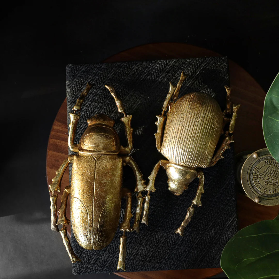 Decoración Con Forma De Escarabajo