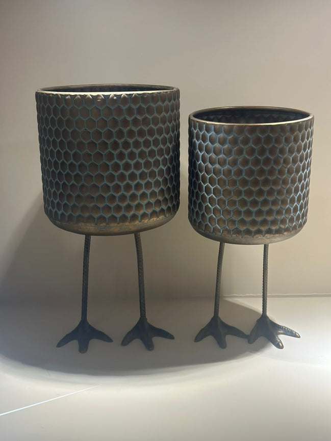 Maceta patitas de pollo