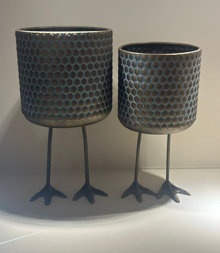 Maceta patitas de pollo